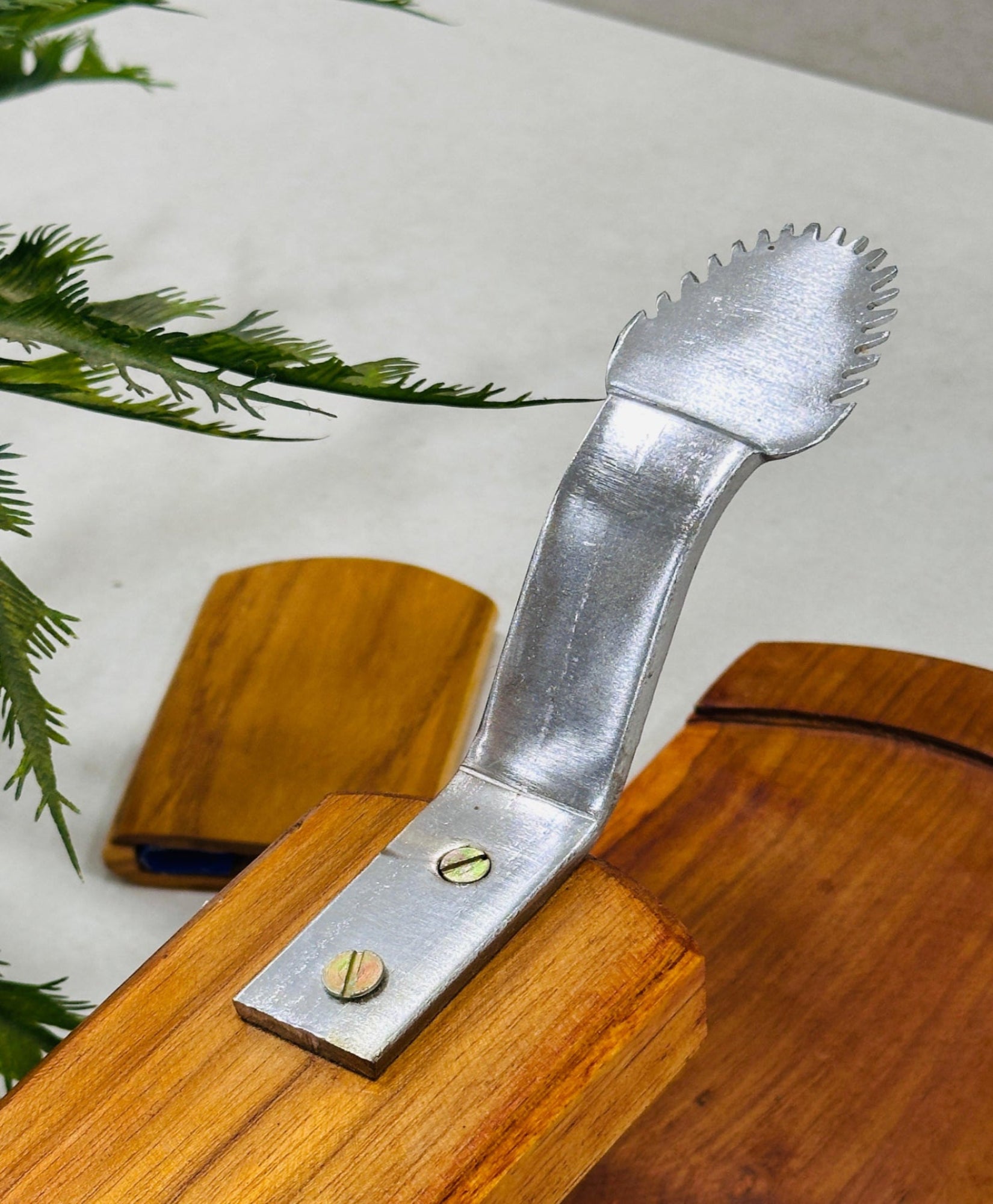 Vyga Bold Teak Wood Coconut Scraper