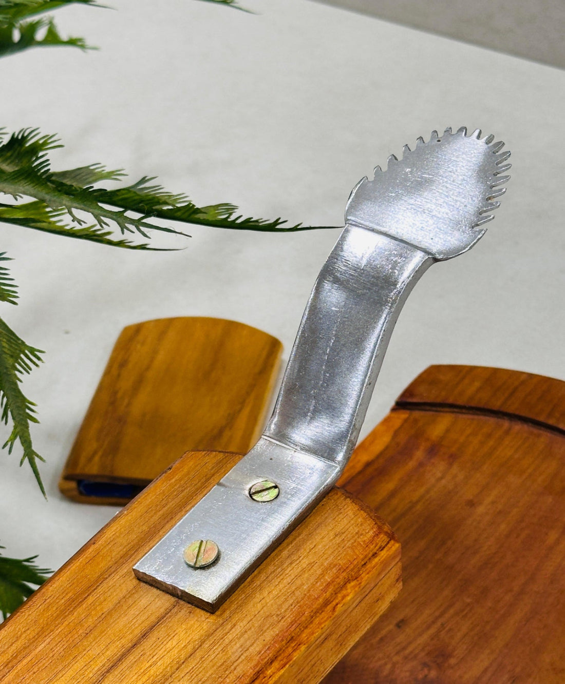 Vyga Bold Teak Wood Coconut Scraper